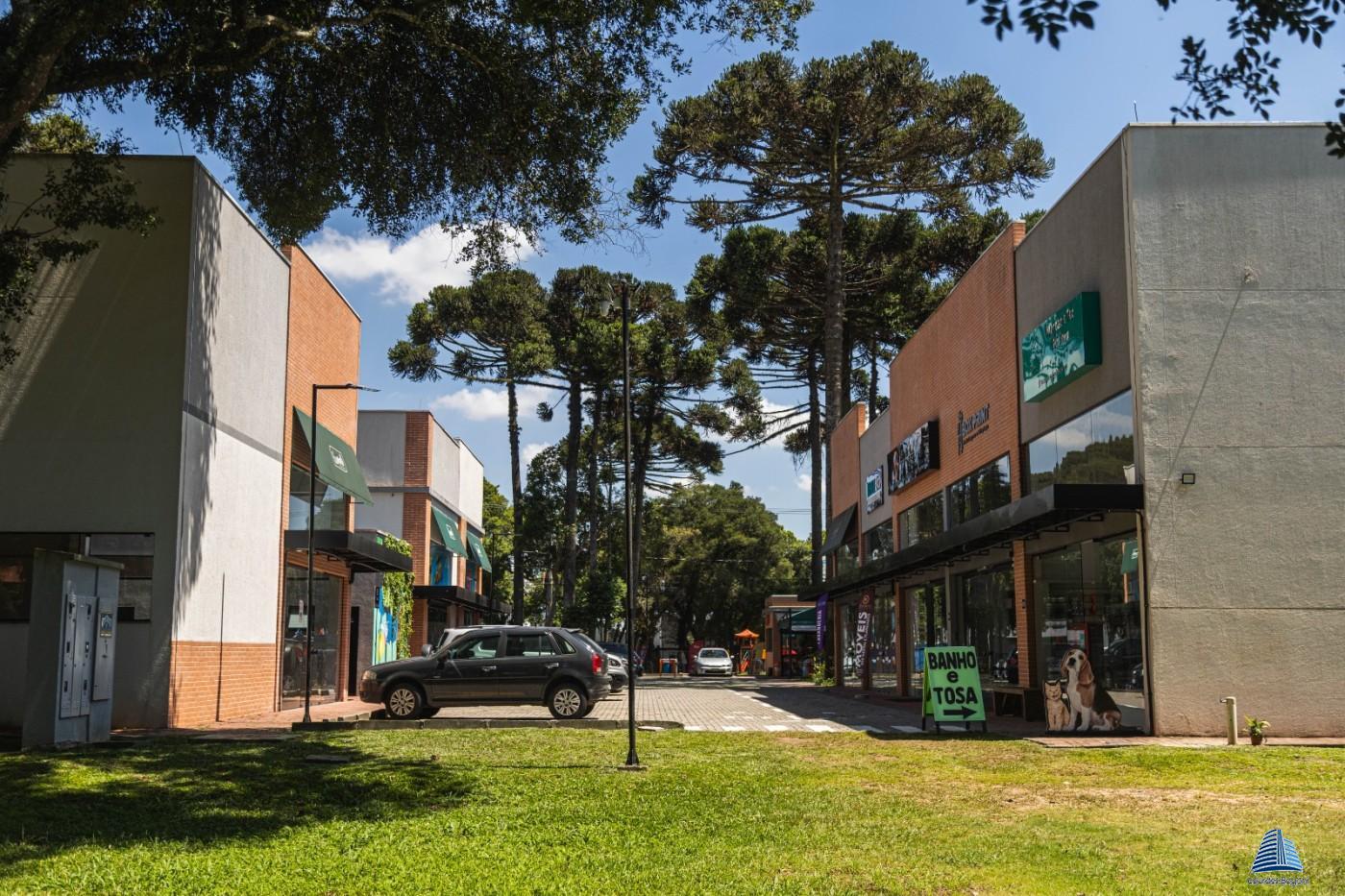 Loja-Salão, 50 m² - Foto 8
